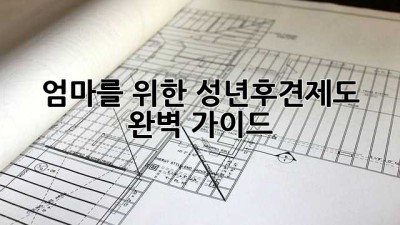 엄마를 위한 성년후견제도 완벽 가이드