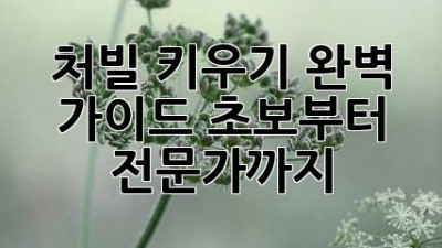 처빌 키우기 완벽 가이드: 초보부터 전문가까지